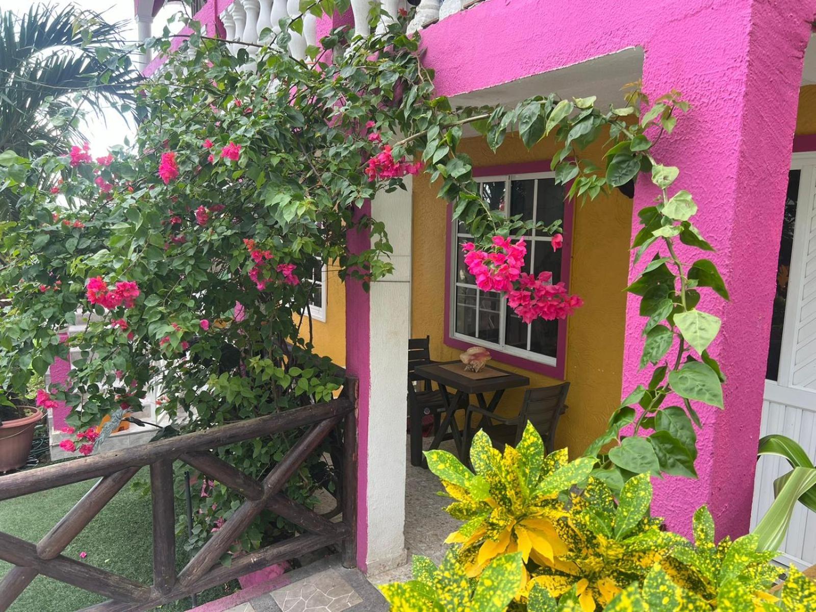 Posada Ashanty Rocky Point Exterior foto